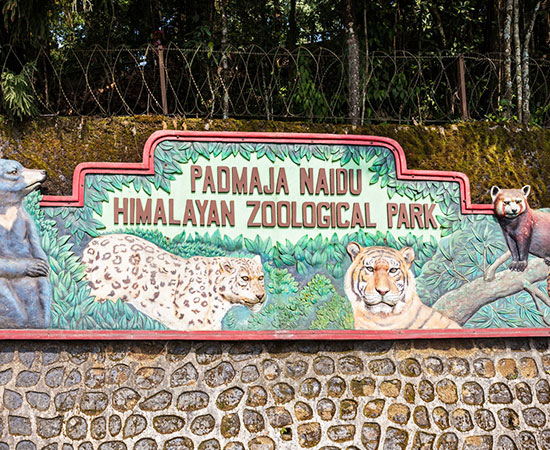 The Exotic Darjeeling Zoo