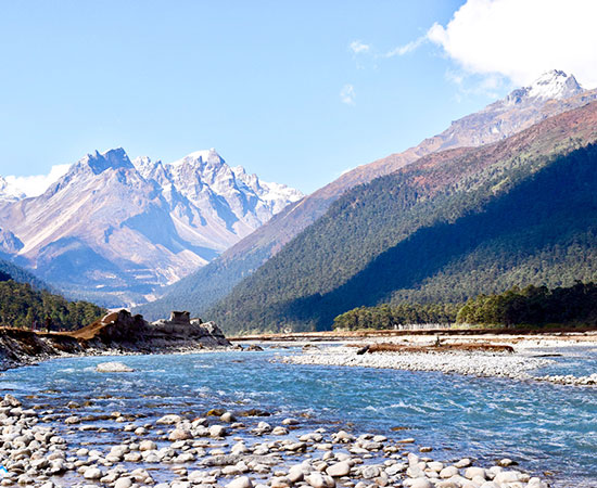 Yumthang Valley